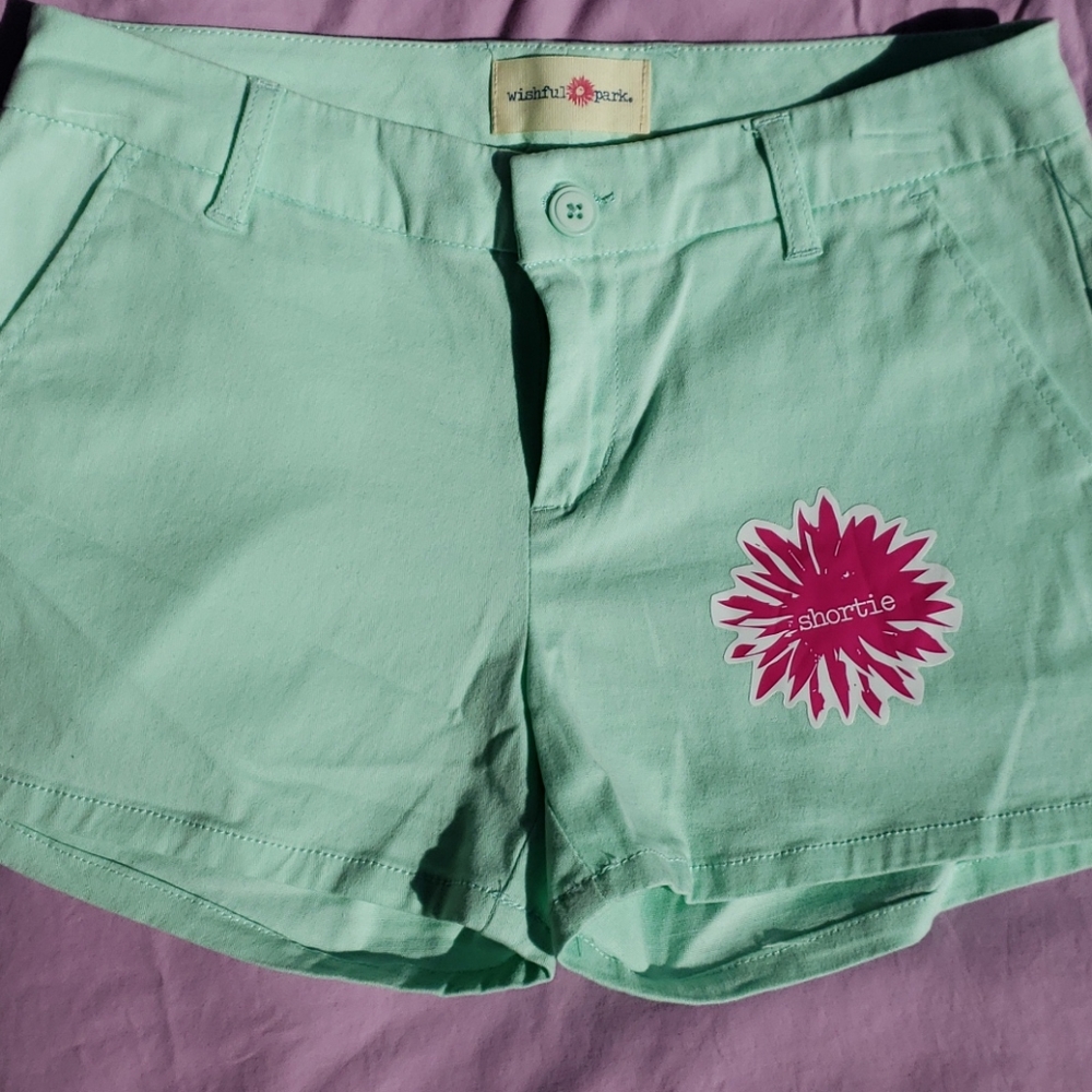 Mint color shortie shorts juniors size 3